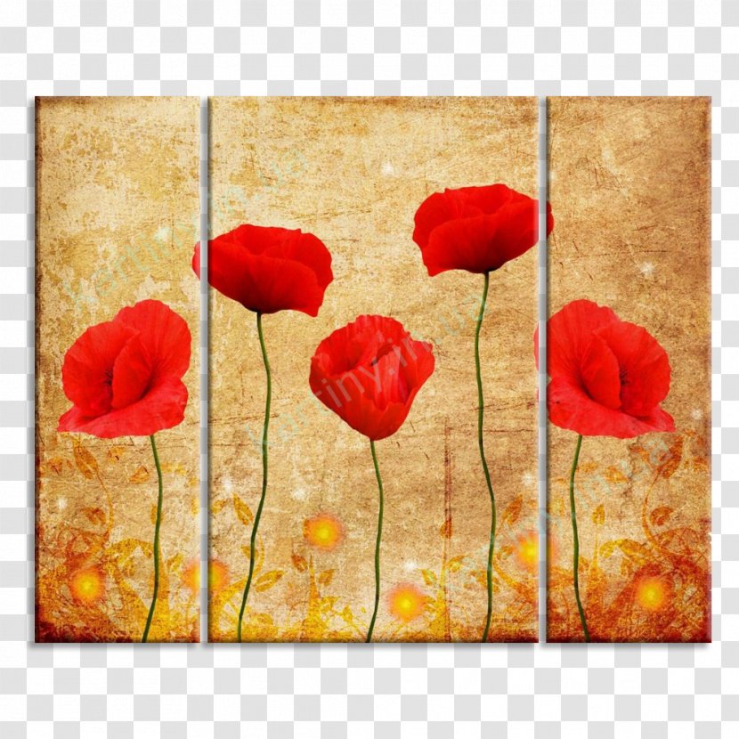 Mural Poppy Watercolor Painting Interieur Wallpaper - Acrylic Paint - Red Poppies Transparent PNG