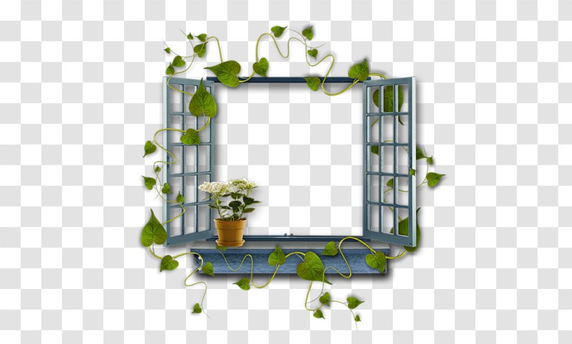 Window Picture Frames - Floral Design Transparent PNG