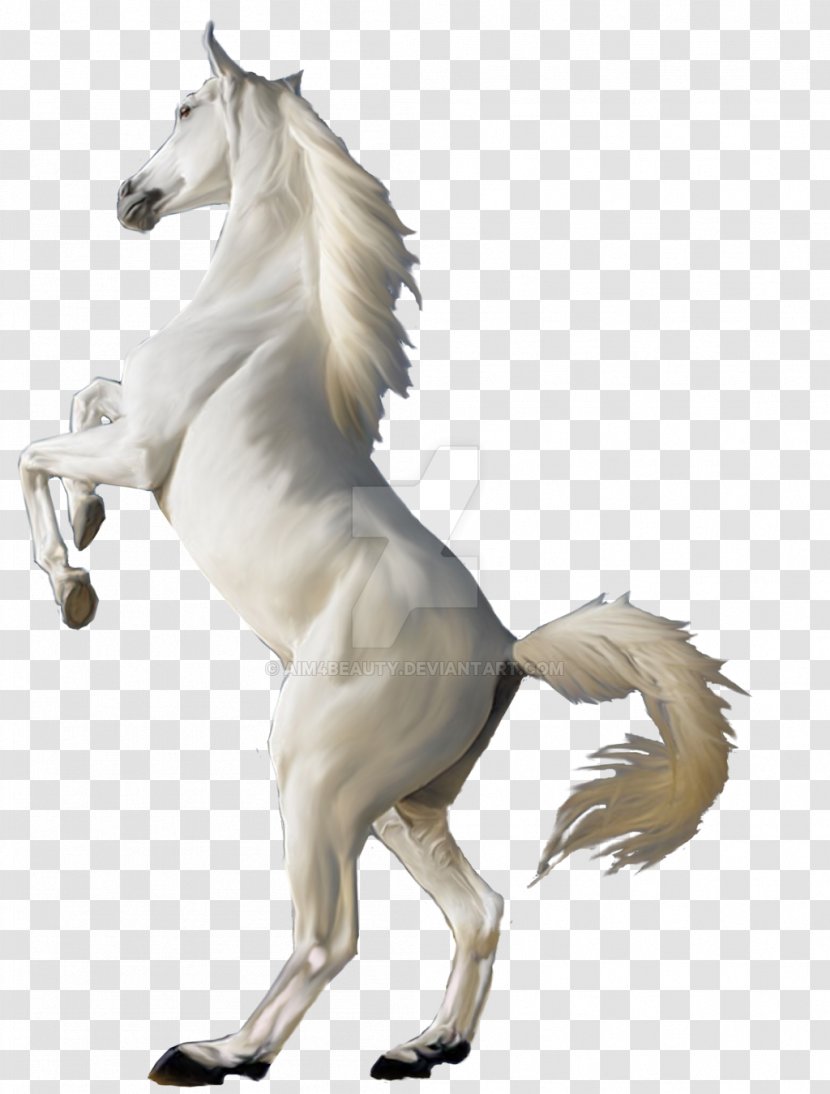Mustang Desktop Wallpaper White Clip Art - Horse Transparent PNG
