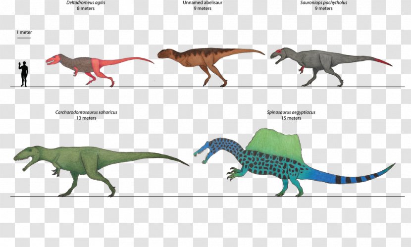 Velociraptor Tyrannosaurus - Animal - Sauroniops Transparent PNG