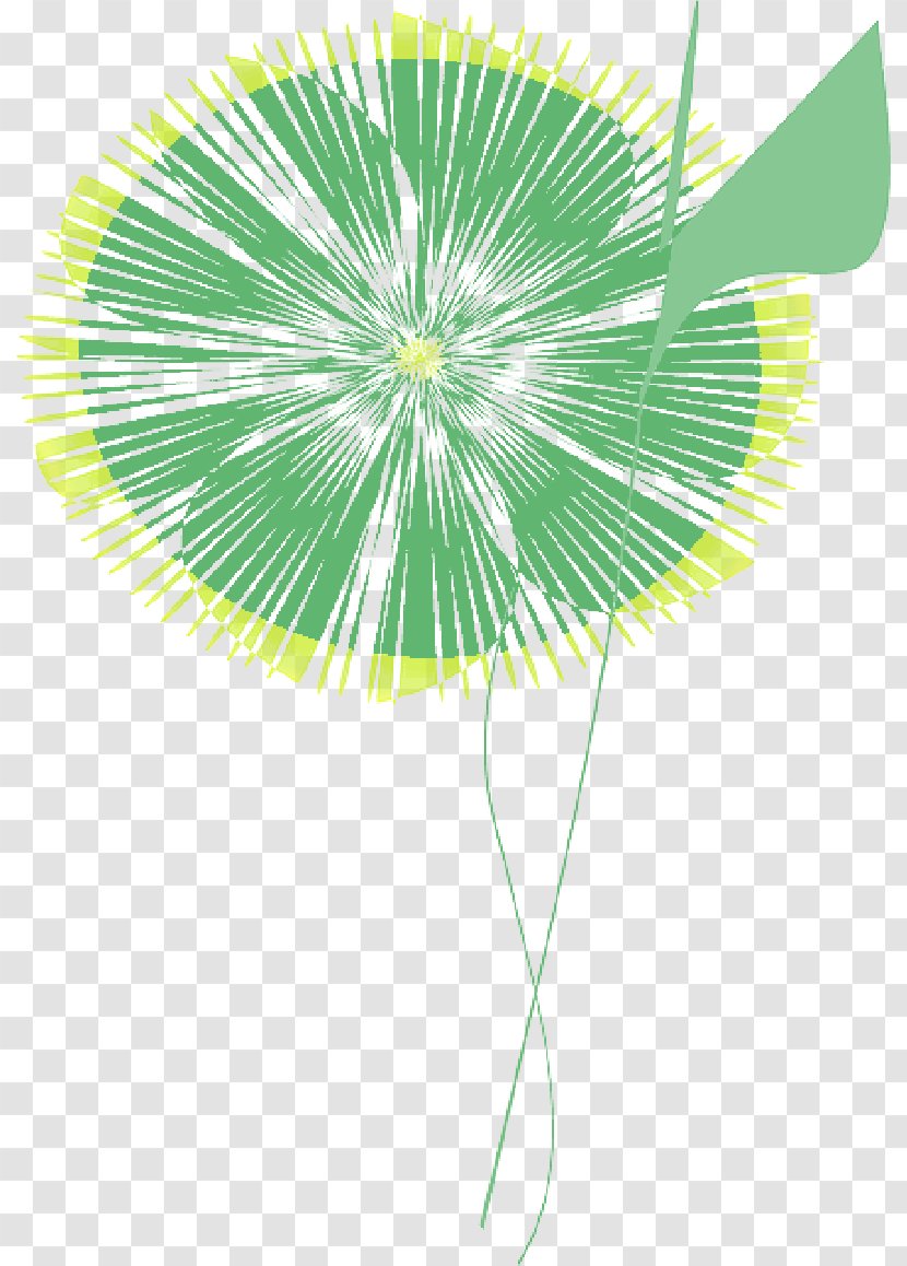 Vector Graphics Clip Art Painting Illustration - Plant - Dream Flower Transparent PNG