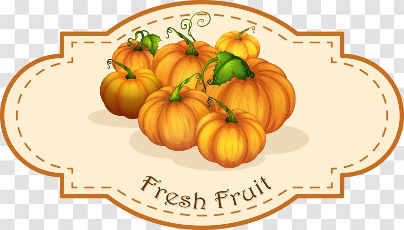 Royalty-free Stock Photography Fruit Illustration - Winter Squash - Pumpkin Transparent PNG