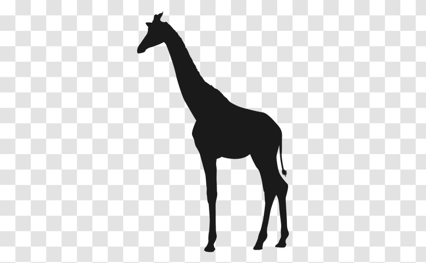 Giraffe Clip Art - Mane - Vector Transparent PNG