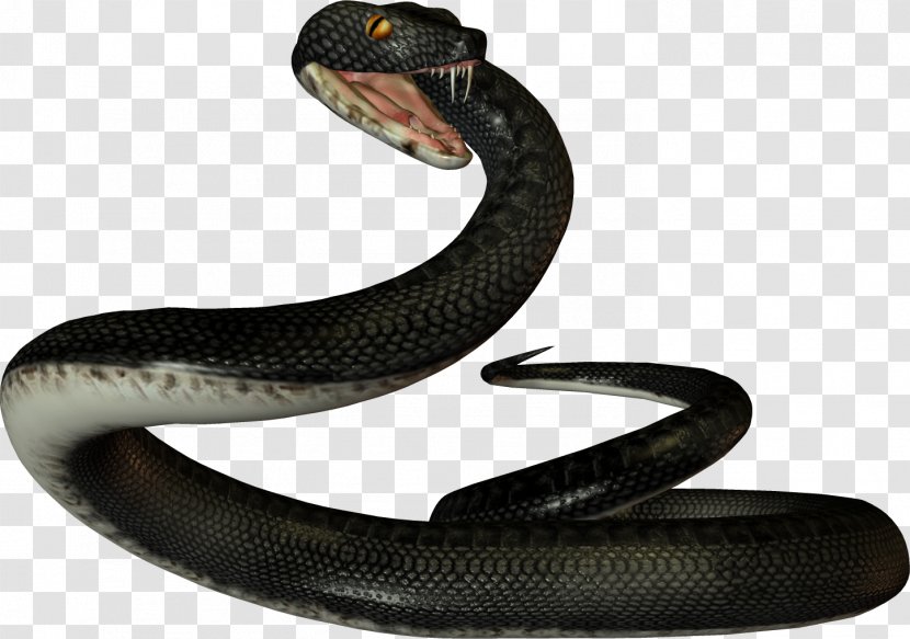 Snake Reptile Vipers Ahaetulla Prasina - Rattlesnake Transparent PNG