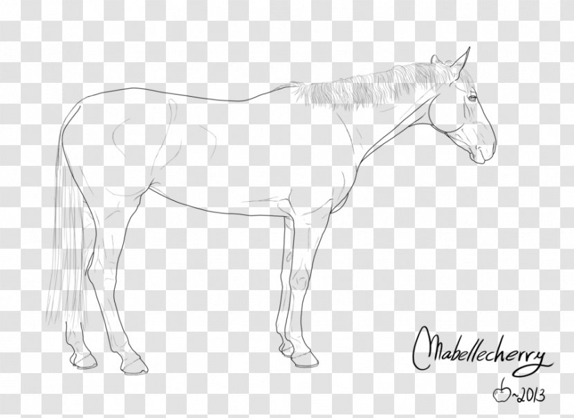 Mule Foal Bridle Stallion Colt - Arm - Mustang Transparent PNG