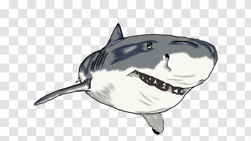 Shark Marine Mammal Transparent PNG