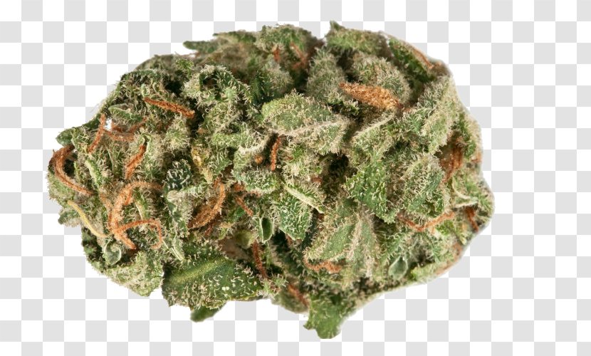 Kush Cannabis Sativa Bud Vaporizer - Hash Oil - Marijuana Transparent PNG