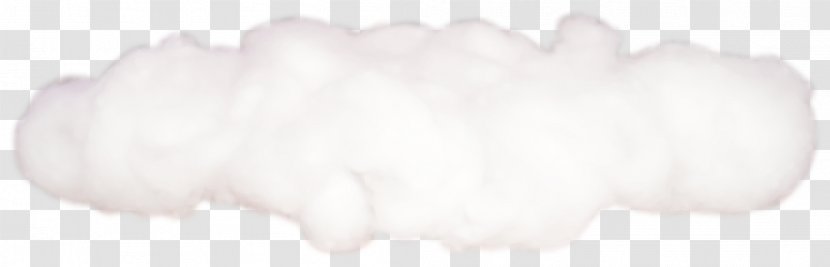 White Dog Canidae - Flower - Cloud Transparent PNG