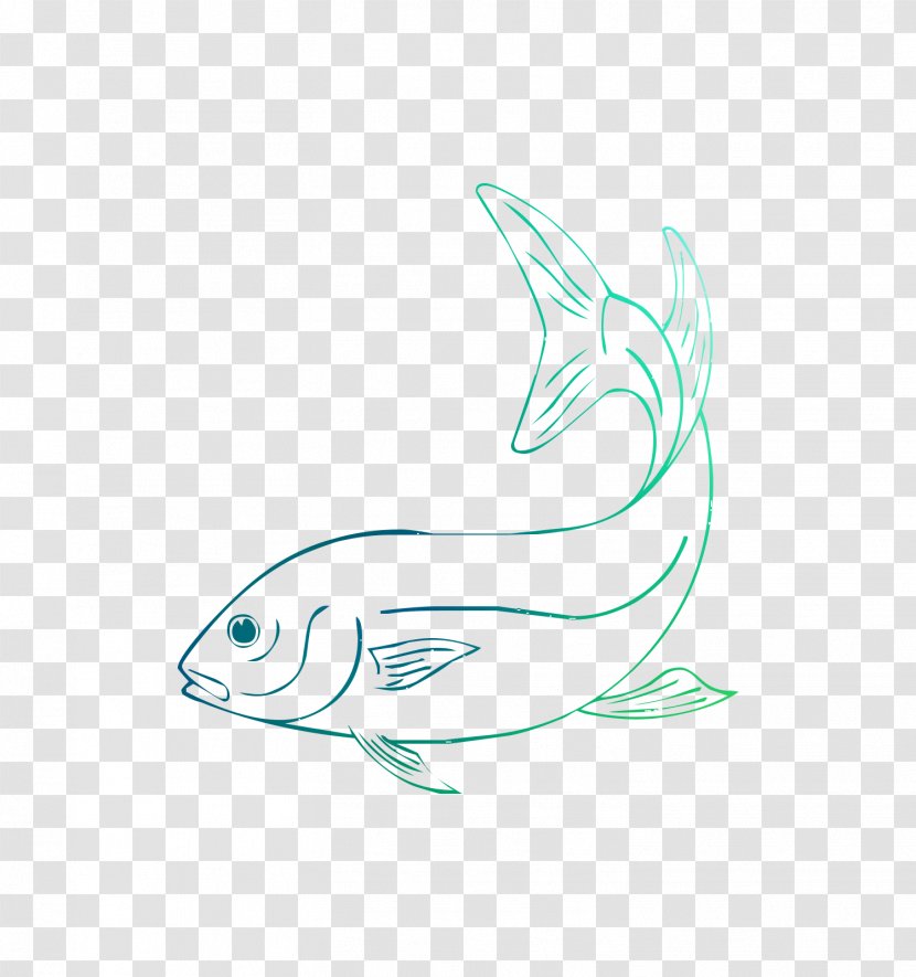 Dolphin Sketch Porpoise Line Art Car - Fiction - Whales Transparent PNG