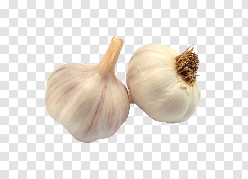 Garlic Bread Food Clip Art - Onion Transparent PNG