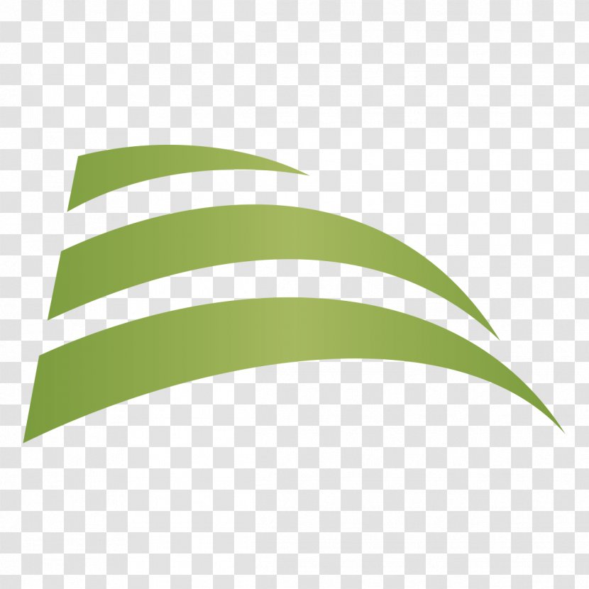 Logo Line Brand Leaf - Green Transparent PNG
