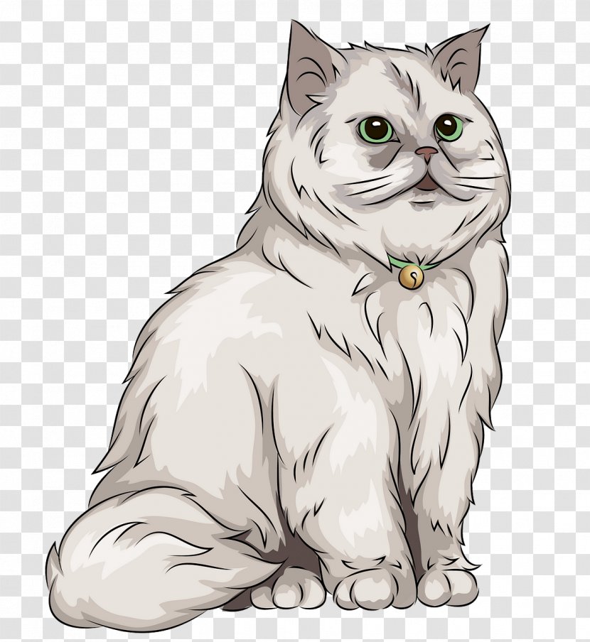 Cat White Small To Medium-sized Cats Line Art Whiskers - British Longhair - Drawing Transparent PNG