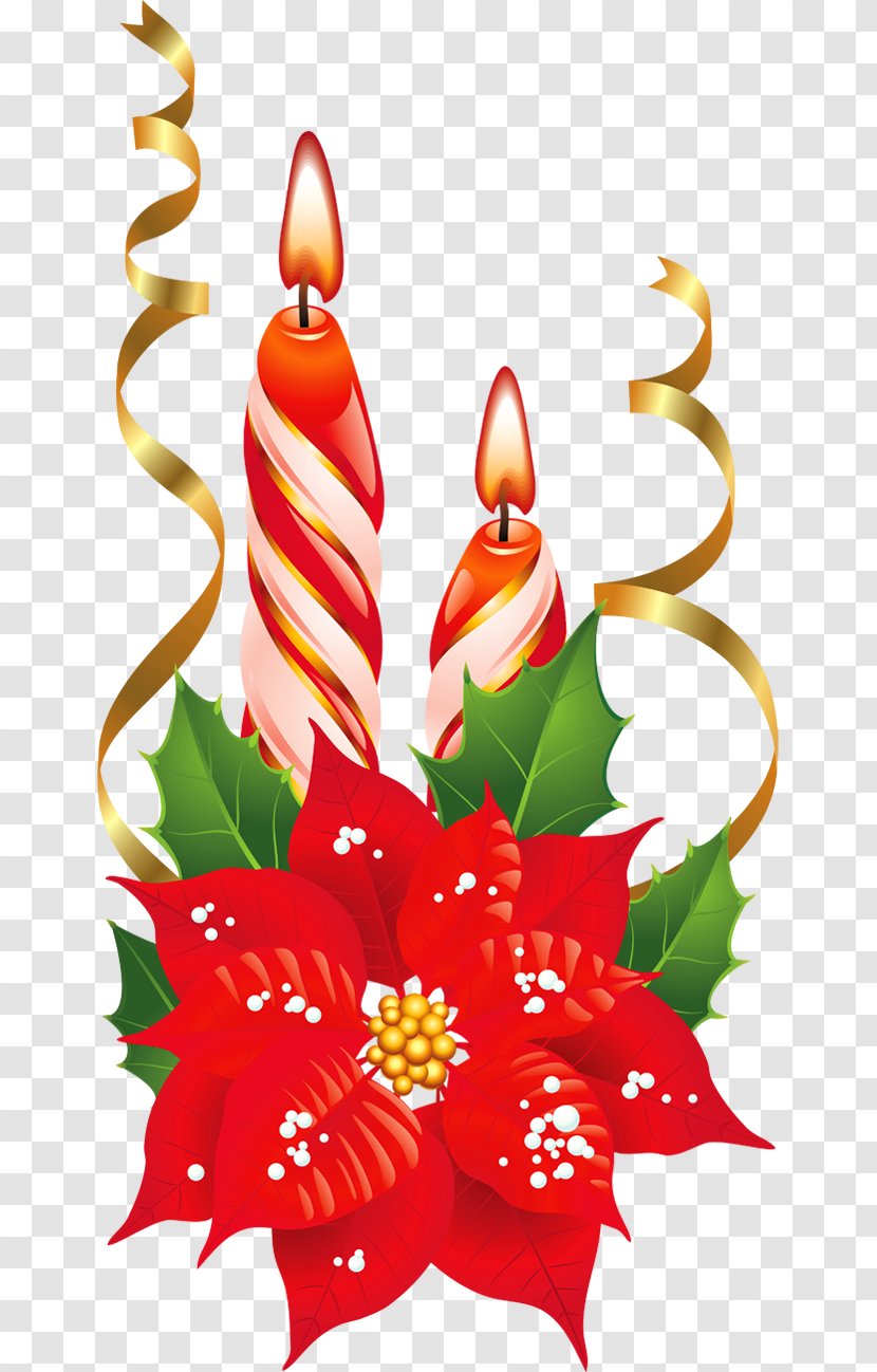 Poinsettia Christmas Flower Clip Art - Red And White Candles With Picture Transparent PNG