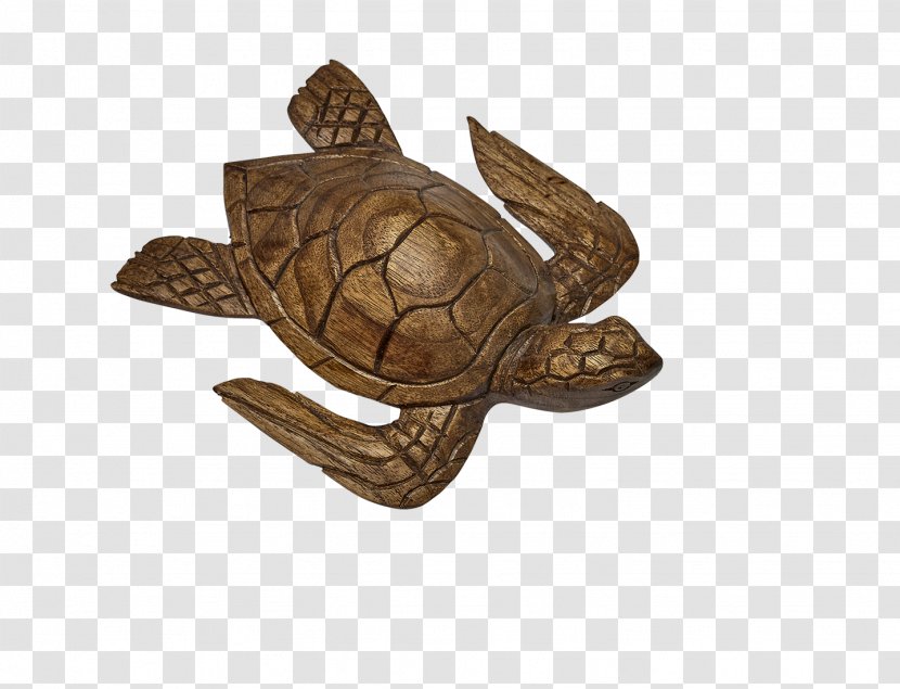 Box Turtle Sea Tortoise Wood - Reptile - Woodcarving Transparent PNG