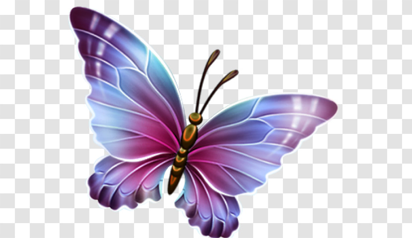 Butterfly Insect Moths And Butterflies Purple Violet Transparent PNG