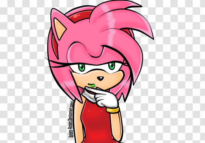 Amy Rose Knuckles The Echidna Tails Sonic Hedgehog Rouge - Cartoon Transparent PNG