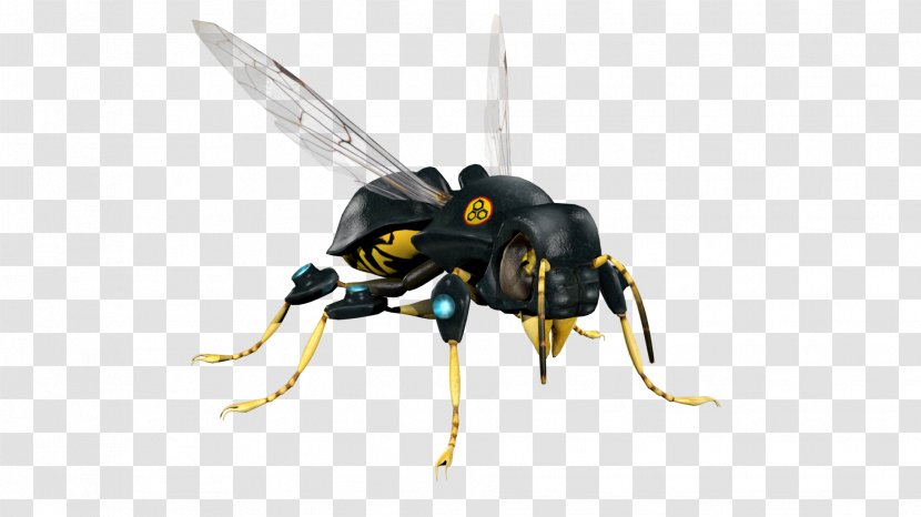 Wasp Pest Hornet Bee Insect - Invertebrate Transparent PNG