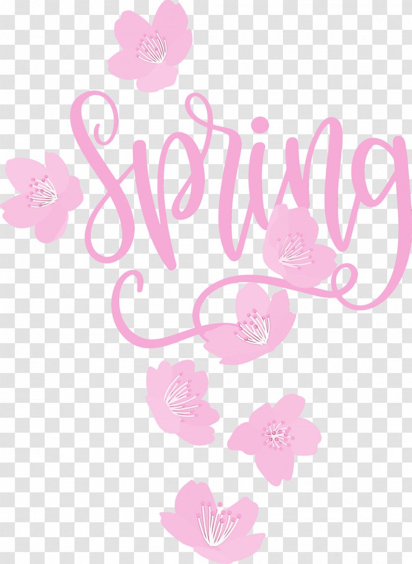 Floral Design Transparent PNG