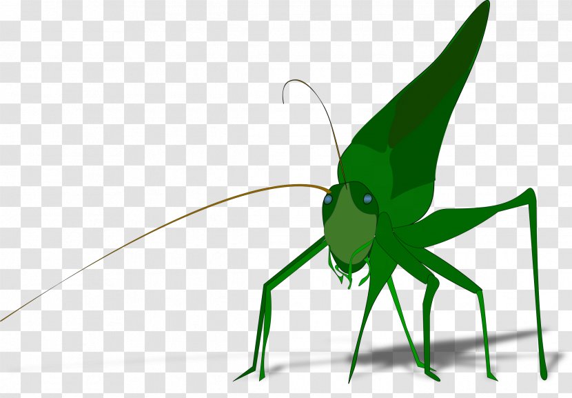 The Ant And Grasshopper Clip Art - Leaf - Shadow Effect Transparent PNG