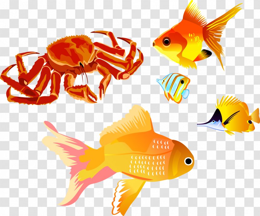 Red King Crab Clip Art - Seafood - Vector Fish Transparent PNG