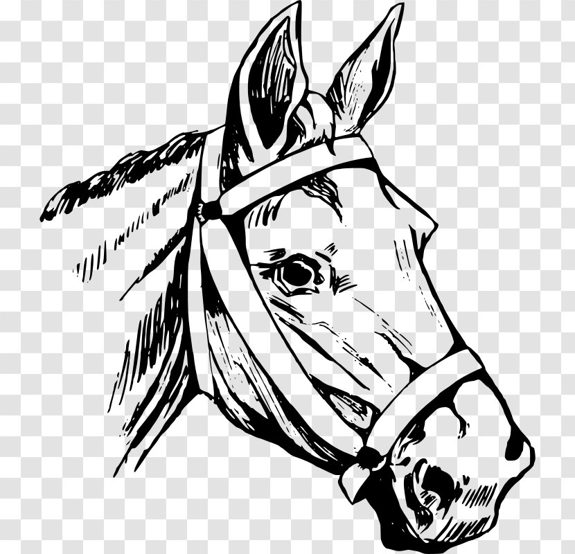 Horse Head Mask Equestrian Clip Art - Neck Transparent PNG
