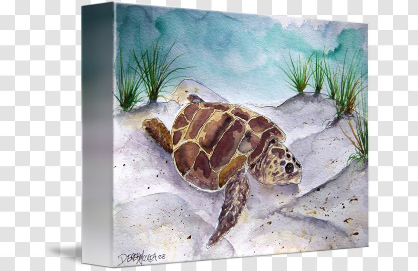 Loggerhead Sea Turtle Watercolor Painting - Emydidae Transparent PNG