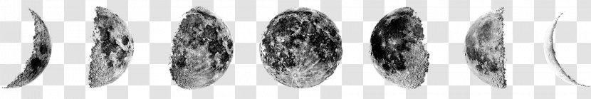 Supermoon Photography Black And White - Monochrome - Moon Transparent PNG