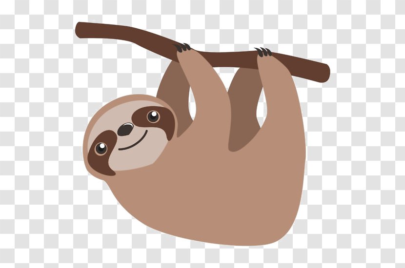 Sloth Clip Art Cuteness Cartoon Illustration - Brownthroated Transparent PNG