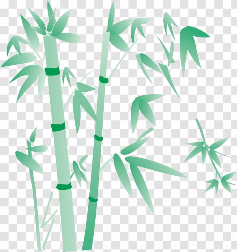 Bamboo Giant Panda Green Plant - Hand Painted Transparent PNG
