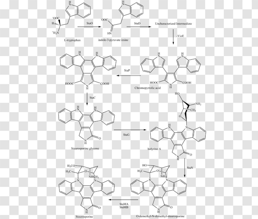 Staurosporine Midostaurin Chemical Synthesis Pharmaceutical Drug Semisynthesis - Streptomyces Transparent PNG