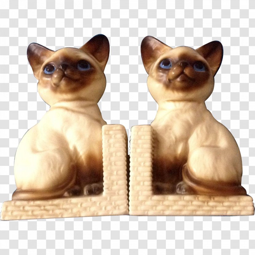 Whiskers Tonkinese Cat Kitten Dog Breed - Like Mammal Transparent PNG
