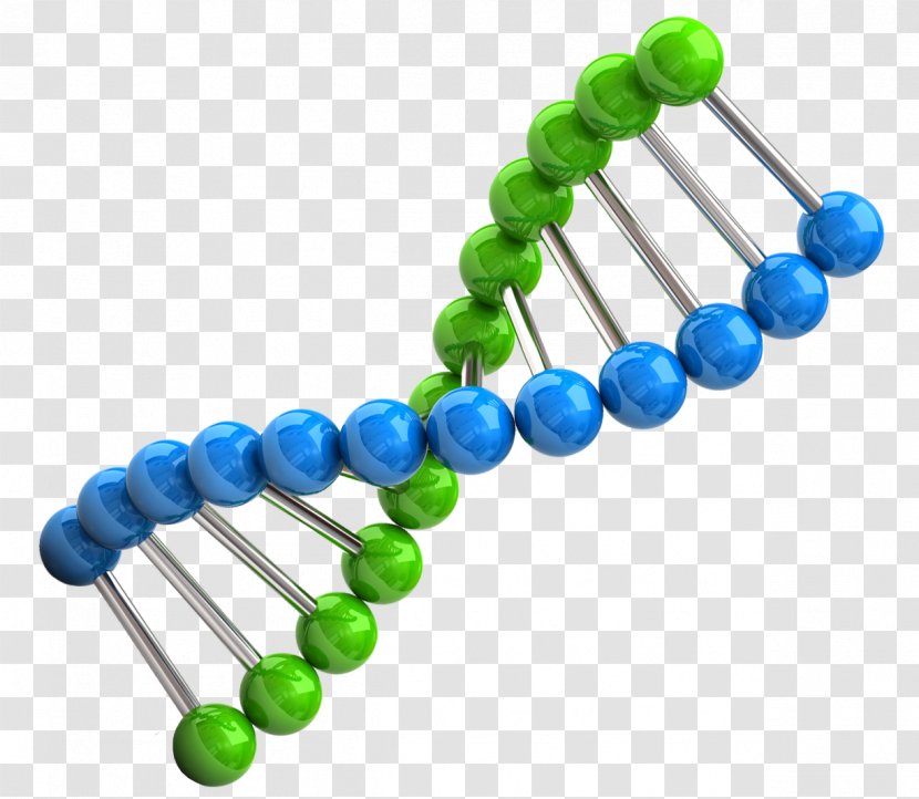 DNA Amazon.com Amazon Alexa Chromosome - Nucleic Acid Double Helix Transparent PNG