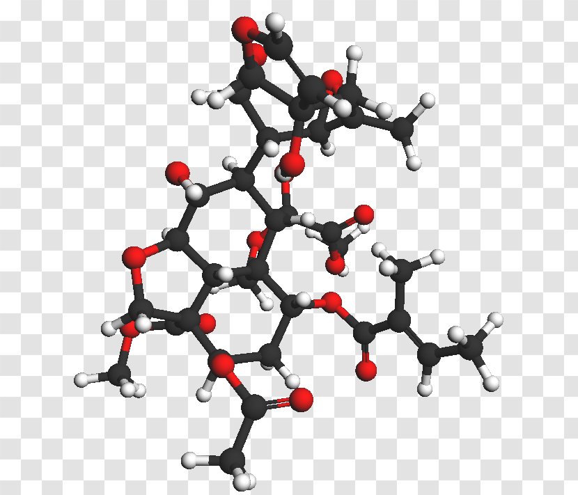 Azadirachtin Neem Tree Organic Chemistry Chemical Compound - Flower Transparent PNG