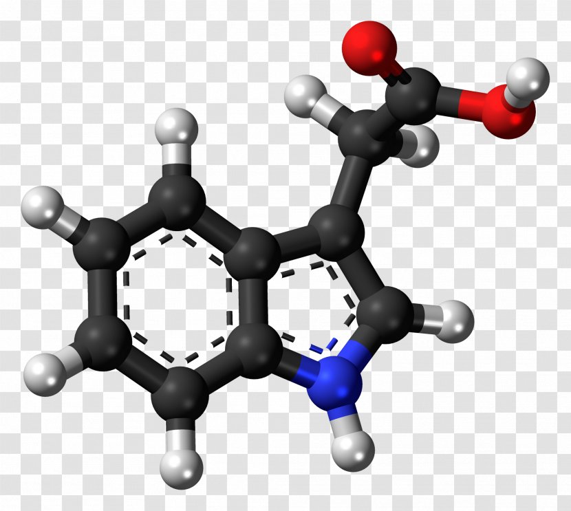 Psilocybin Mushroom Hallucinogen Psychedelic Drug Psilocin - Psilocybe - Colorless Transparent PNG