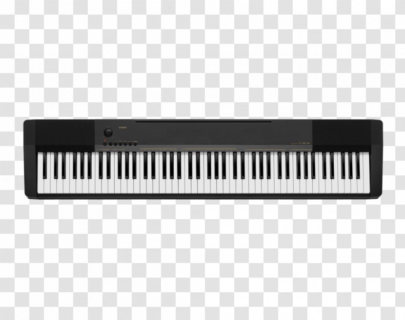 Digital Piano Musical Instruments Keyboard Action - Watercolor Transparent PNG