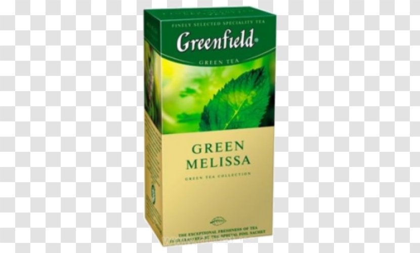 Green Tea Plant Herbal Lemon Balm Transparent PNG
