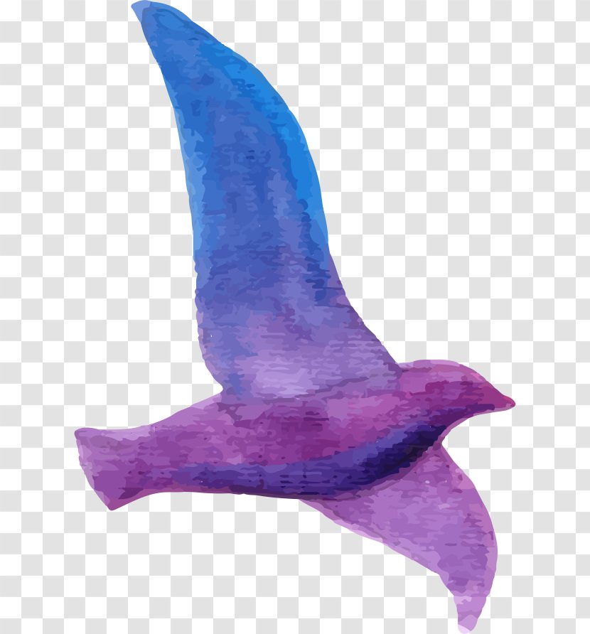 Adobe Illustrator Euclidean Vector - Dolphin - Purple Pigeon Transparent PNG