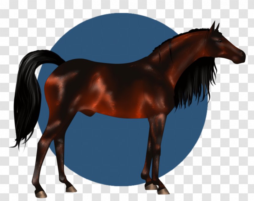 Mane Mustang Stallion Mare Halter - Horse Tack Transparent PNG