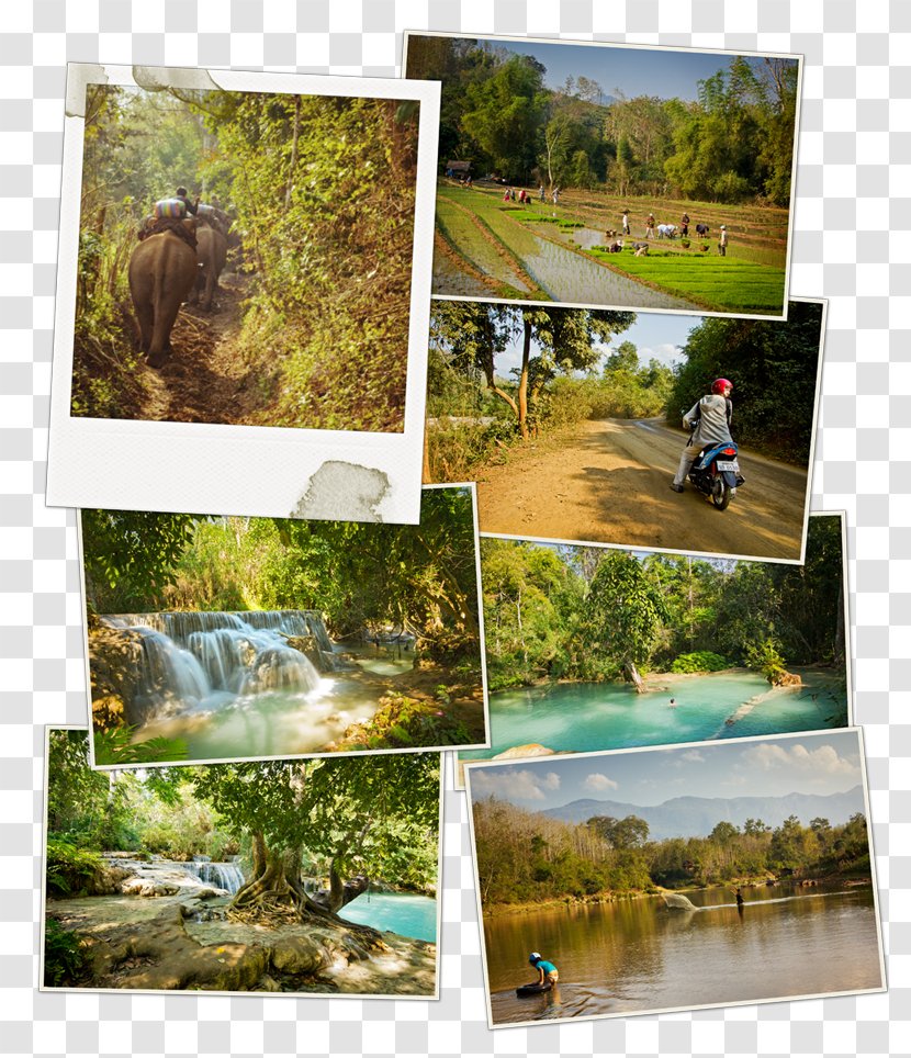 Luang Prabang District Namtha Travel Photography - Leisure - Pha That Lao Transparent PNG