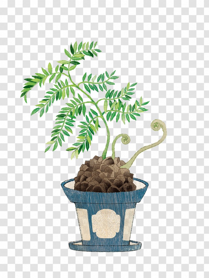 Bonsai Flowerpot Clip Art Image Cartoon - Penjing - Plants Transparent PNG