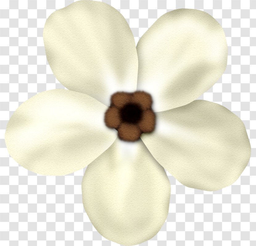 Petal Cut Flowers - Flowering Plant Transparent PNG