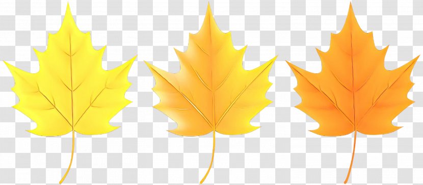 Maple Leaf - Cartoon - Plane Transparent PNG