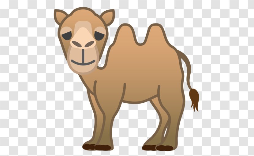 Dromedary Bactrian Camel Emoji Horse Noto Fonts Transparent PNG