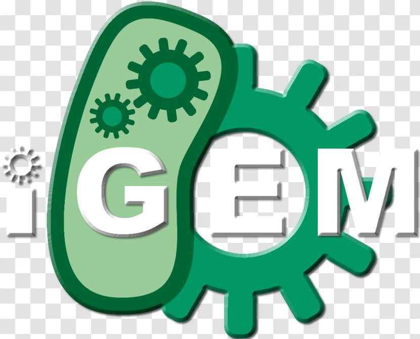 International Genetically Engineered Machine Yeast Genetics Meeting 2018 Synthetic Biology GIANT JAMBOREE Research - Science - Microplastics Transparent PNG