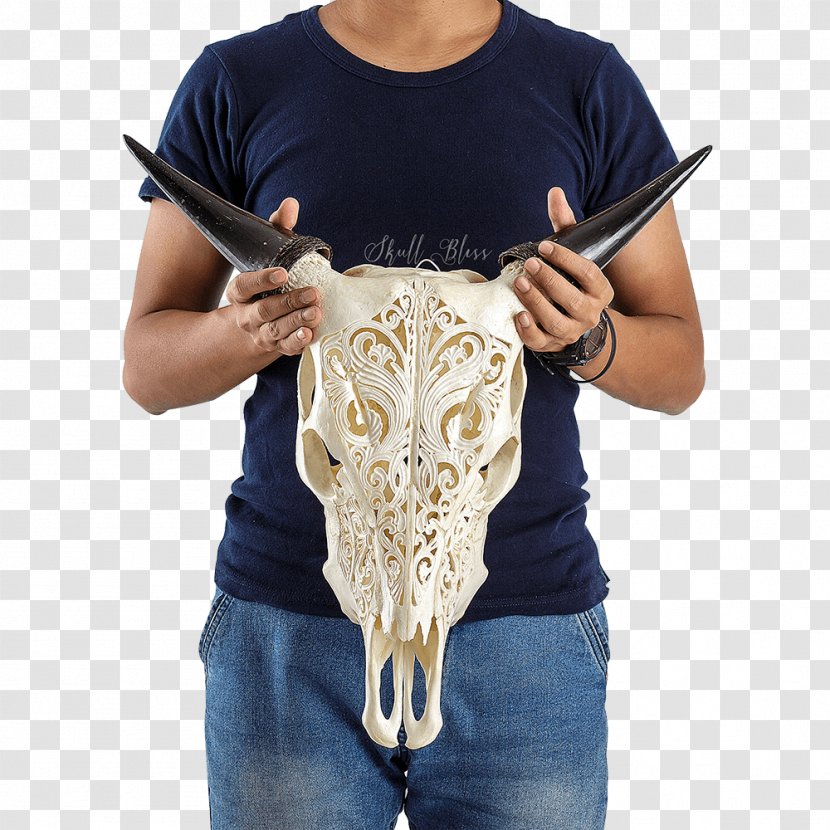 T-shirt Shoulder Skull Cattle Horn Transparent PNG