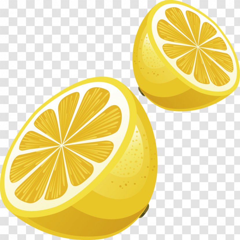 Lemon - Grapefruit - Vector Material Transparent PNG