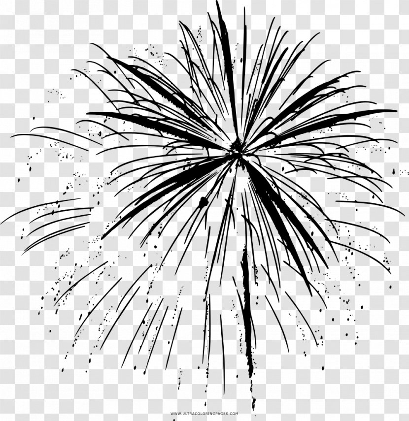 Coloring Book Black And White Drawing - Flower - Fireworks Transparent PNG