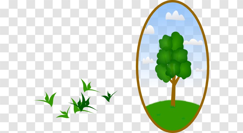 Landscape Tree Landscaping Clip Art - Plant Transparent PNG