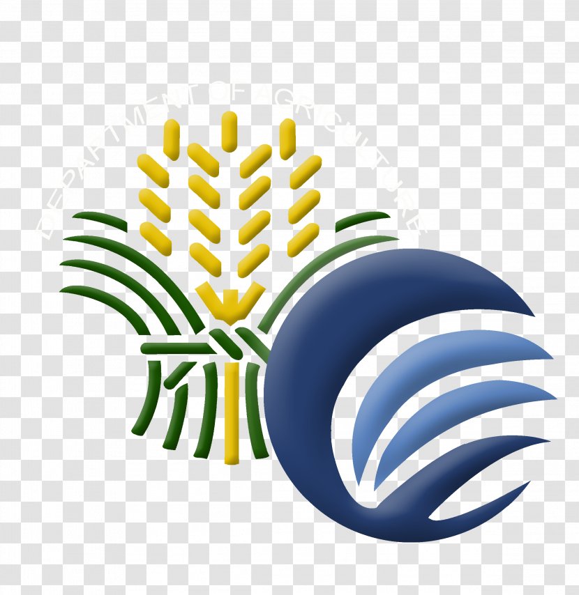 Coconut Cartoon - Philippine Authority - Plant Logo Transparent PNG