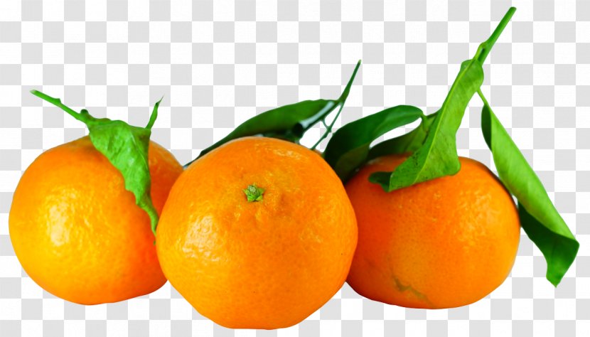 Orange Juice Tangerine Clementine - Calamondin - Tangerines With Leaves Transparent PNG